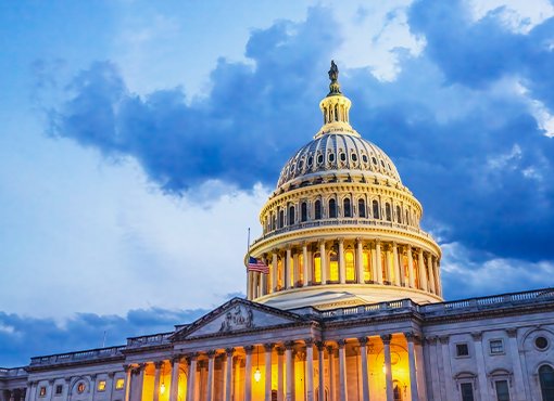 Government and Administrative Law for Paralegals